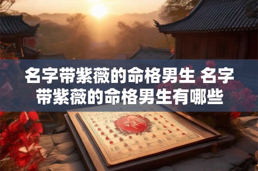 名字带紫薇的命格男生 名字带紫薇的命格男生有哪些