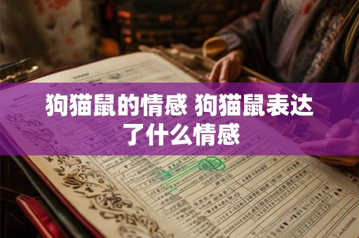 狗猫鼠的情感 狗猫鼠表达了什么情感 狗猫鼠的情感 狗猫鼠表达了什么情感