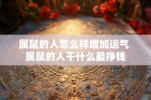 属鼠的人怎么样增加运气 属鼠的人干什么最挣钱 属鼠的人怎么样增加运气 属鼠的人干什么最挣钱