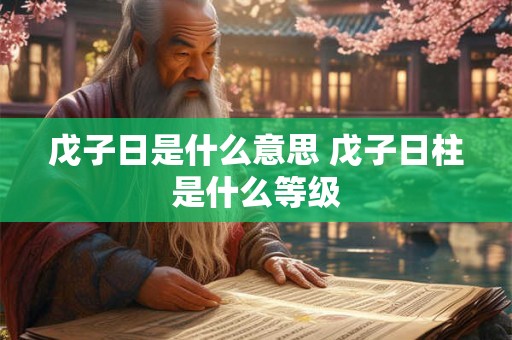 戊子日是什么意思 戊子日柱是什么等级 戊子日是什么意思 戊子日柱是什么等级