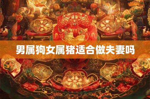 男属狗女属猪适合做夫妻吗 男属狗女属猪适合做夫妻吗