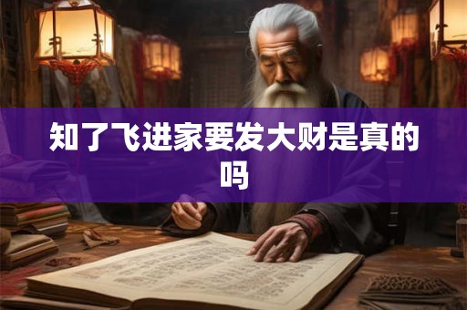 知了飞进家要发大财是真的吗