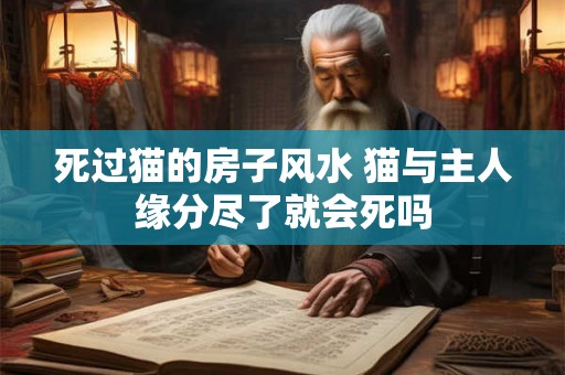 死过猫的房子风水 猫与主人缘分尽了就会死吗 死过猫的房子风水 猫与主人缘分尽了就会死吗