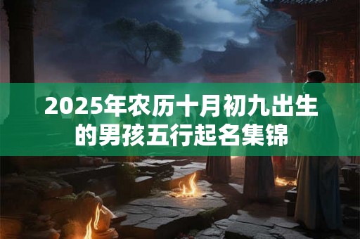 2025年农历十月初九出生的男孩五行起名集锦