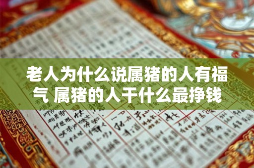 老人为什么说属猪的人有福气 属猪的人干什么最挣钱 老人为什么说属猪的人有福气 属猪的人干什么最挣钱