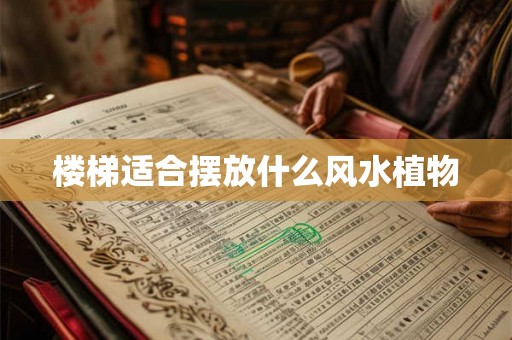 楼梯适合摆放什么风水植物 楼梯适合摆放什么风水植物