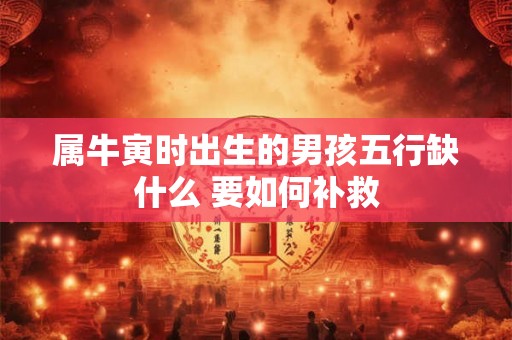 属牛寅时出生的男孩五行缺什么 要如何补救 属牛寅时出生的男孩五行缺什么 要如何补救