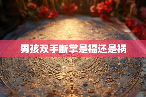 男孩双手断掌是福还是祸 男孩双手断掌是福还是祸