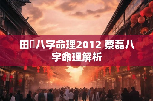 田燊八字命理2012 蔡磊八字命理解析 田燊八字命理2012 蔡磊八字命理解析