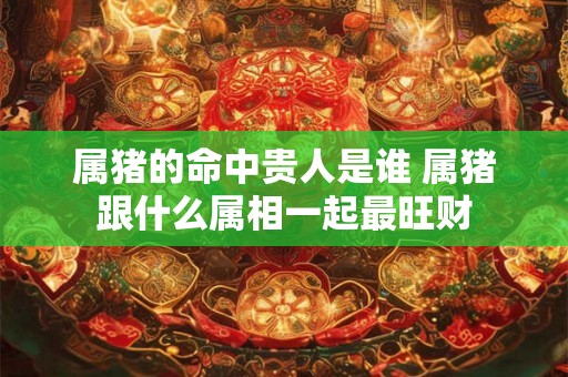 属猪的命中贵人是谁 属猪跟什么属相一起最旺财 属猪的命中贵人是谁 属猪跟什么属相一起最旺财