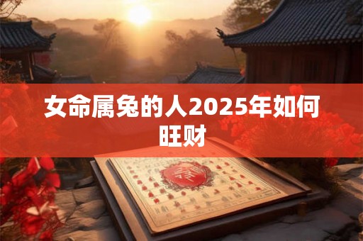 女命属兔的人2025年如何旺财 女命属兔的人2025年如何旺财