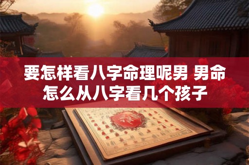 要怎样看八字命理呢男 男命怎么从八字看几个孩子 要怎样看八字命理呢男 男命怎么从八字看几个孩子