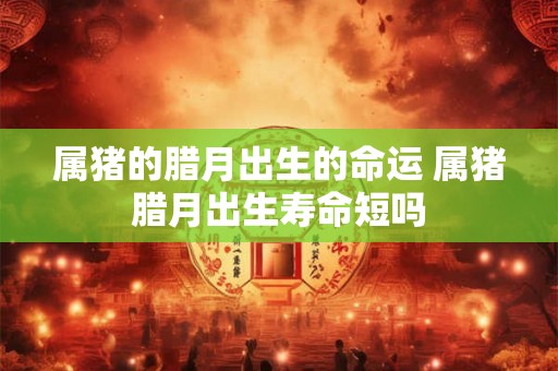 属猪的腊月出生的命运 属猪腊月出生寿命短吗 属猪的腊月出生的命运 属猪腊月出生寿命短吗