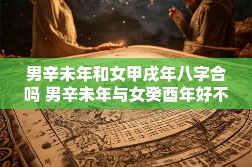 男辛未年和女甲戌年八字合吗 男辛未年与女癸酉年好不好 男辛未年和女甲戌年八字合吗 男辛未年与女癸酉年好不好