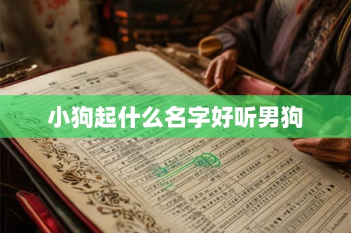 小狗起什么名字好听男狗 小狗起什么名字好听男狗