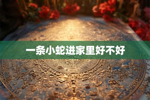一条小蛇进家里好不好 一条小蛇进家里好不好