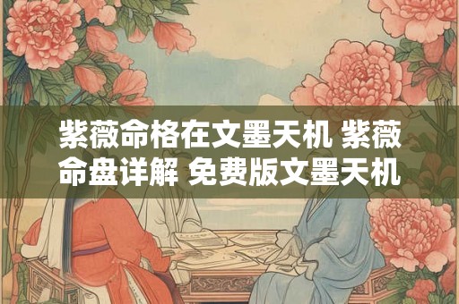 紫薇命格在文墨天机 紫薇命盘详解 免费版文墨天机