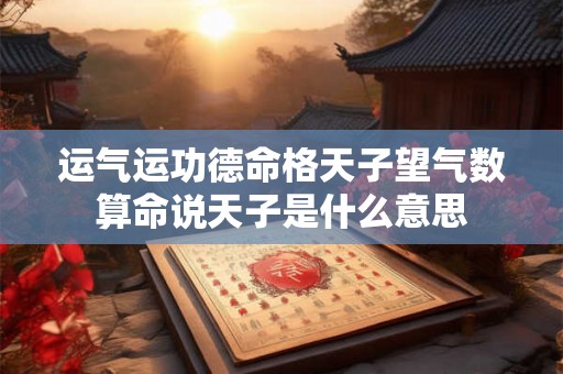 运气运功德命格天子望气数 算命说天子是什么意思 运气运功德命格天子望气数 算命说天子是什么意思