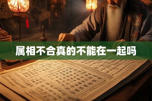 属相不合真的不能在一起吗
