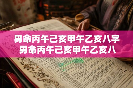 男命丙午己亥甲午乙亥八字 男命丙午己亥甲午乙亥八字怎么样