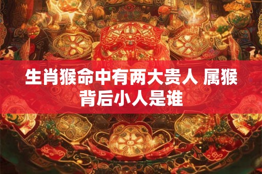 生肖猴命中有两大贵人 属猴背后小人是谁