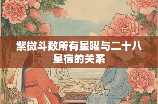 紫微斗数所有星曜与二十八星宿的关系