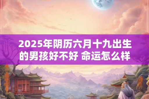 2025年阴历六月十九出生的男孩好不好 命运怎么样 2025年阴历六月十九出生的男孩好不好 命运怎么样