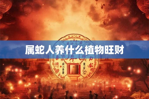 属蛇人养什么植物旺财