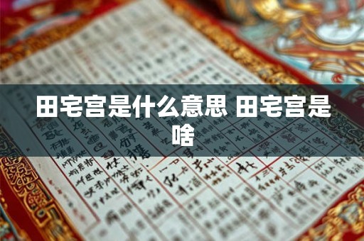 田宅宫是什么意思 田宅宫是啥 田宅宫是什么意思 田宅宫是啥