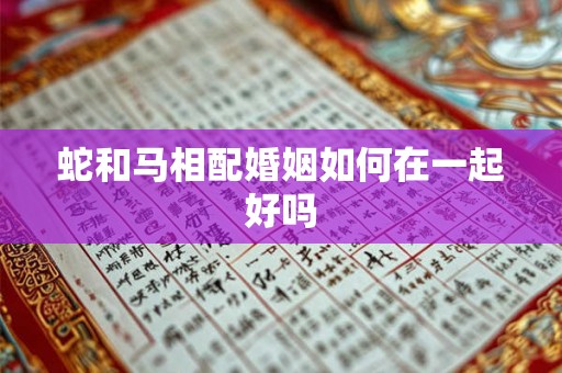 蛇和马相配婚姻如何在一起好吗