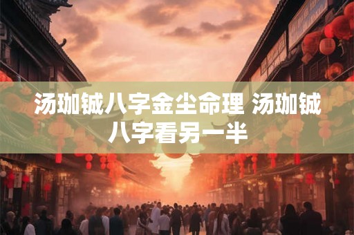 汤珈铖八字金尘命理 汤珈铖八字看另一半