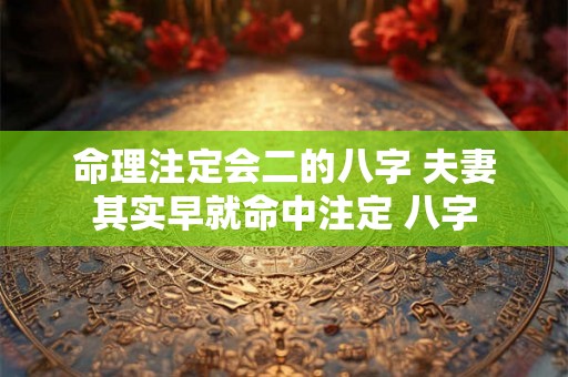 命理注定会二的八字 夫妻其实早就命中注定 八字 命理注定会二的八字 夫妻其实早就命中注定 八字