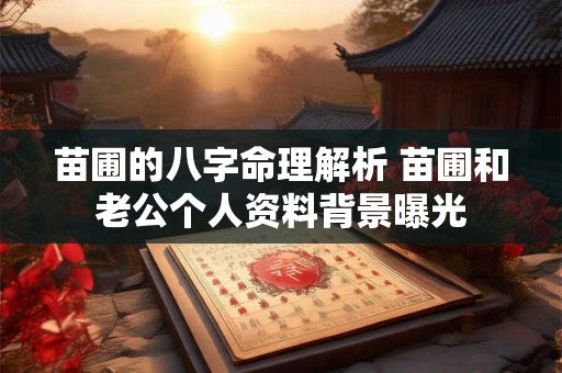 苗圃的八字命理解析 苗圃和老公个人资料背景曝光 苗圃的八字命理解析 苗圃和老公个人资料背景曝光