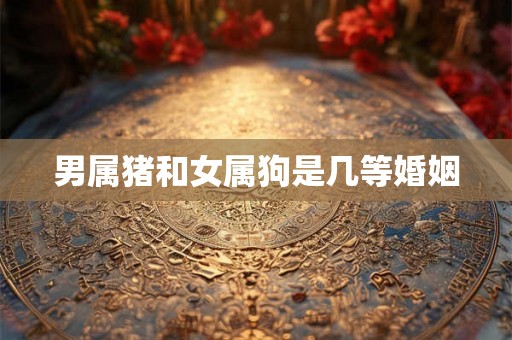 男属猪和女属狗是几等婚姻 男属猪和女属狗是几等婚姻