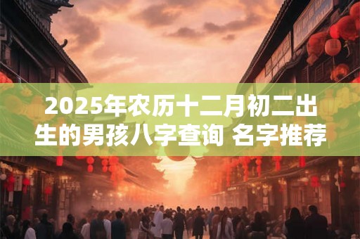 2025年农历十二月初二出生的男孩八字查询 名字推荐 2025年农历十二月初二出生的男孩八字查询 名字推荐