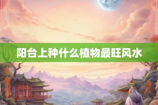 阳台上种什么植物最旺风水 阳台上种什么植物最旺风水