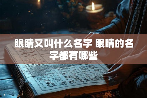 眼睛又叫什么名字 眼睛的名字都有哪些 眼睛又叫什么名字 眼睛的名字都有哪些