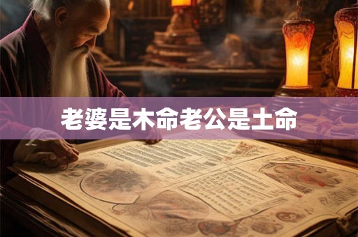老婆是木命老公是土命 老婆是木命老公是土命