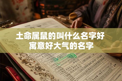 土命属鼠的叫什么名字好 寓意好大气的名字