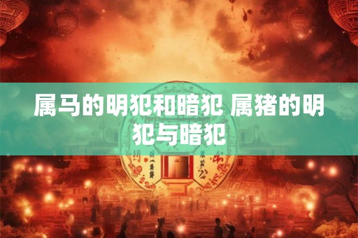 属马的明犯和暗犯 属猪的明犯与暗犯 属马的明犯和暗犯 属猪的明犯与暗犯