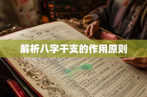解析八字干支的作用原则