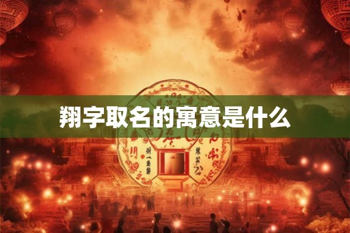 翔字取名的寓意是什么 翔字取名的寓意是什么