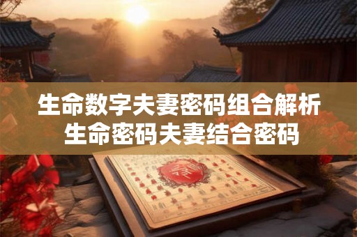 生命数字夫妻密码组合解析 生命密码夫妻结合密码