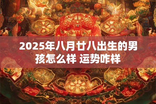 2025年八月廿八出生的男孩怎么样 运势咋样 2025年八月廿八出生的男孩怎么样 运势咋样