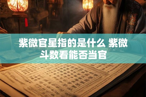 紫微官星指的是什么 紫微斗数看能否当官 紫微官星指的是什么 紫微斗数看能否当官