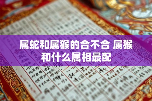 属蛇和属猴的合不合 属猴和什么属相最配