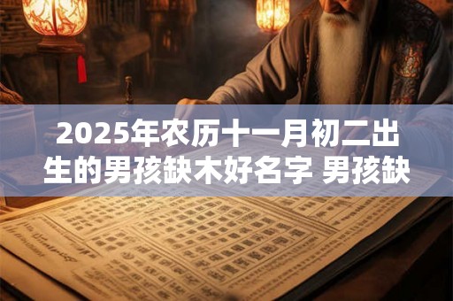 2025年农历十一月初二出生的男孩缺木好名字 男孩缺木用什么字 2025年农历十一月初二出生的男孩缺木好名字 男孩缺木用什么字
