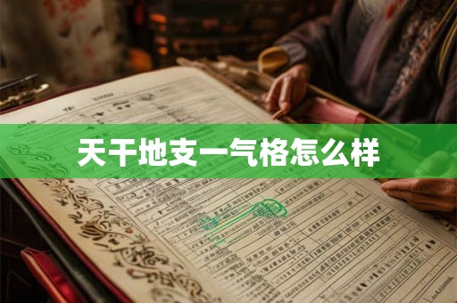 天干地支一气格怎么样 天干地支一气格怎么样