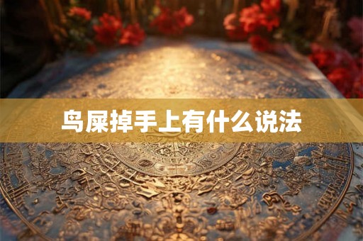 鸟屎掉手上有什么说法