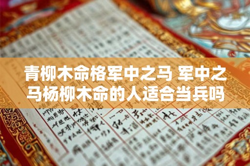 青柳木命格军中之马 军中之马杨柳木命的人适合当兵吗